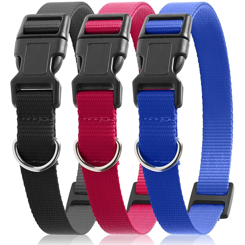 สายรัดทดแทนสำหรับปลอกคอสุนัขแบ - D Ring Strap บทวิจารณ์และราคา